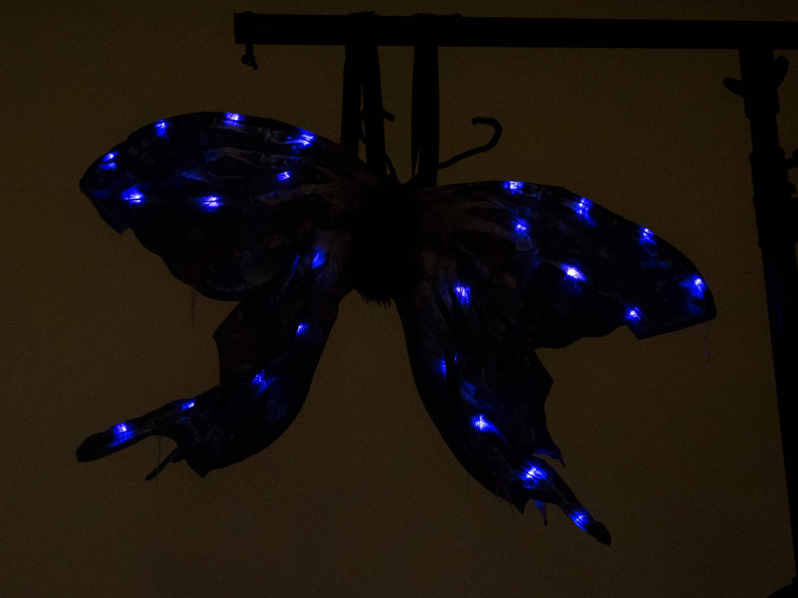 Europalms Halloween Costume Butterfly with moving Wings - Image 4