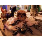 83314008-Europalms Halloween-spinneweb witte 50g UV actief-3