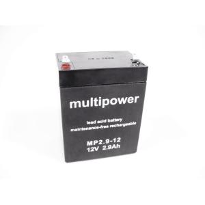 Akku 12V/2900mAh WAMS-05 / WAMS-65