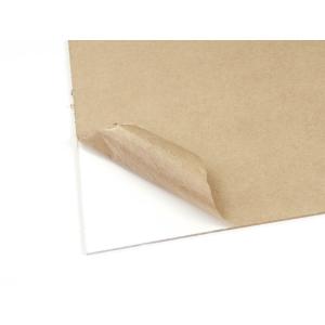 Glas panel (plastic/door) SRT-19 12HE 448x395mm