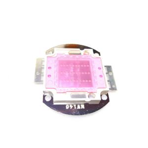 LED COB 30W UV
