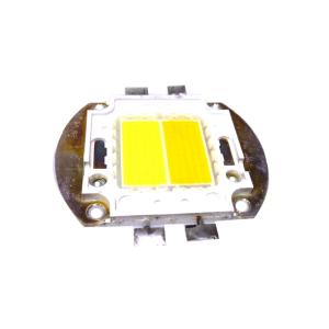 LED COB 100W CW/WW
