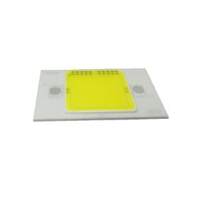 LED COB 30W WW FL-30 (DRD-HW-S101)