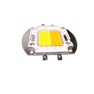 LED COB 50W CW/WW ()