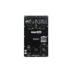 Amplifier module MOLLY-12
