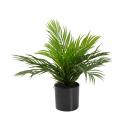 artificial plant