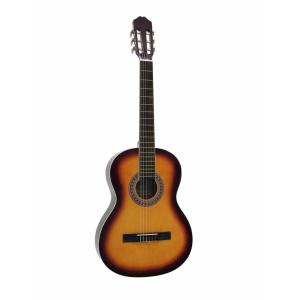 Acoustic guitar