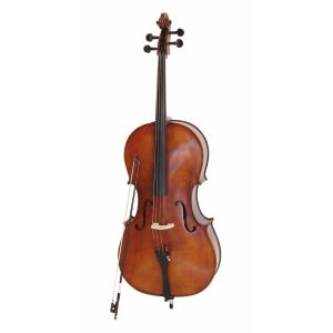 DIMAVERY Cello 4/4 with Soft Bag, C-edge