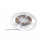 EUROLITE LED-strip 300 5m 3528 5700K 12V