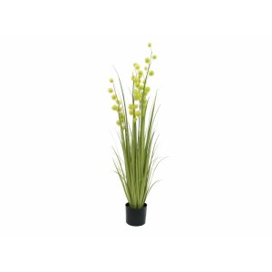 EUROPALMS Allium Grass, artificial, 122cm
