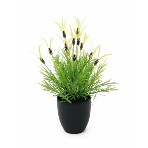 EUROPALMS Feather lettuce, artificial, 40cm