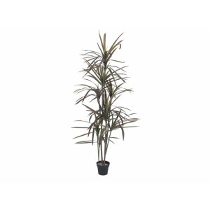 Europalms kunstplant - Dracaena - groen-rood - 180cm