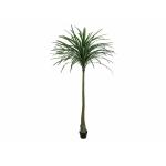 EUROPALMS Dracena, groen, kunstmatig, 220cm