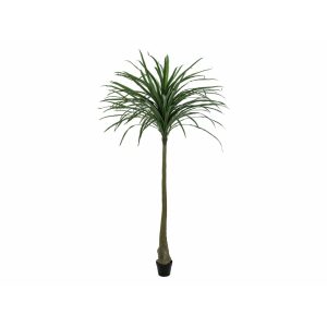 EUROPALMS Dracena, green, artificial,  220cm