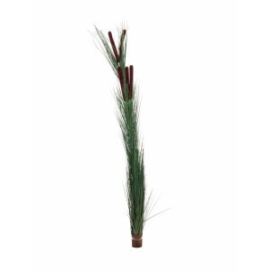 EUROPALMS Reed grass with cattails,dark-green, artificial, 152cm