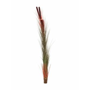 EUROPALMS Reed grass with cattails, light-brown, artificial, 152cm