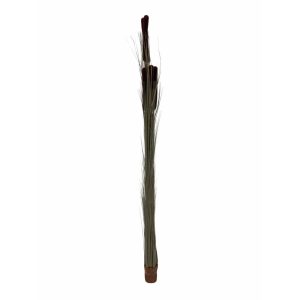 EUROPALMS Reed grass cattails, dark-brown, artificial,  152cm
