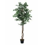 EUROPALMS Gevarieerde Ficus, kunstplant, 180cm