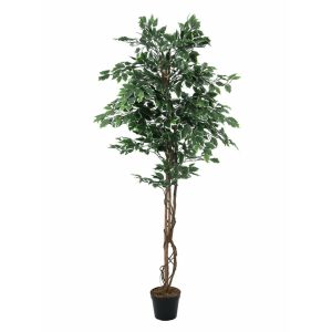 EUROPALMS Variegated Ficus, artificial plant, 180cm