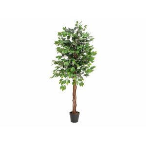 EUROPALMS Ficus Tree Multi Trunk, artificial plant, 150cm