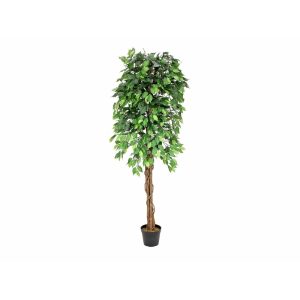EUROPALMS Ficus Tree Multi Trunk, artificial plant, 180cm