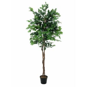 EUROPALMS Ficus Tree Multi Trunk, artificial plant, 210cm