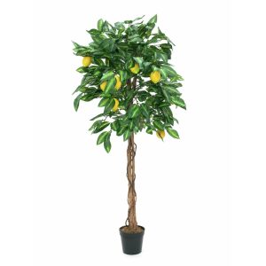 EUROPALMS Lemon Tree, artificial plant, 180cm