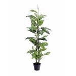 EUROPALMS Dieffenbachia, kunstmatig, 120cm