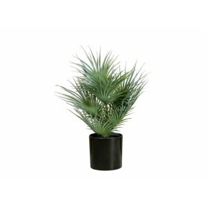 EUROPALMS Fan Palm, artificial plant, 55cm