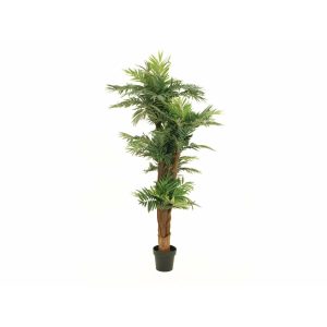 EUROPALMS Areca Palm, artificial plant, 170cm