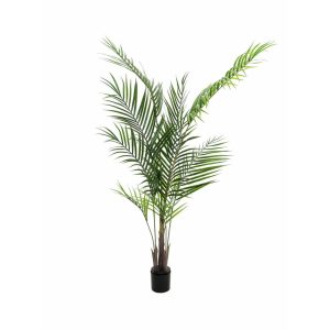 EUROPALMS Areca palm with big leaves, artificial plant, 165cm