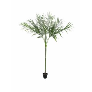 EUROPALMS Areca deluxe, artificial plant, 180cm