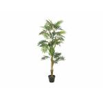 EUROPALMS Salonpalm, kunstplant, 150cm