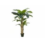 EUROPALMS Bananenboom, kunstplant, 170cm