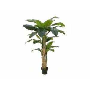 EUROPALMS Banana Tree, artificial plant, 170cm