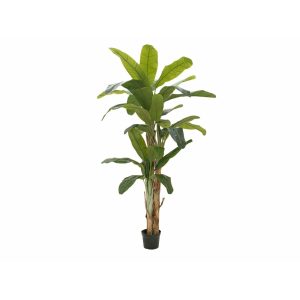 EUROPALMS Banana Tree, artificial plant, 240cm