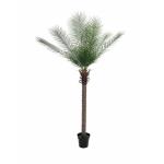EUROPALMS Phoenix Palm Deluxe, kunstplant, 220cm