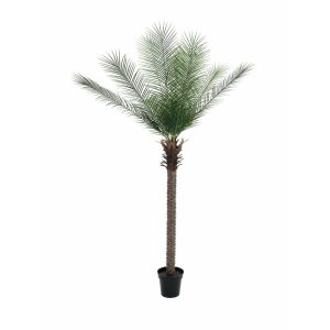 EUROPALMS Phoenix  Palm Deluxe, artificial plant, 220cm