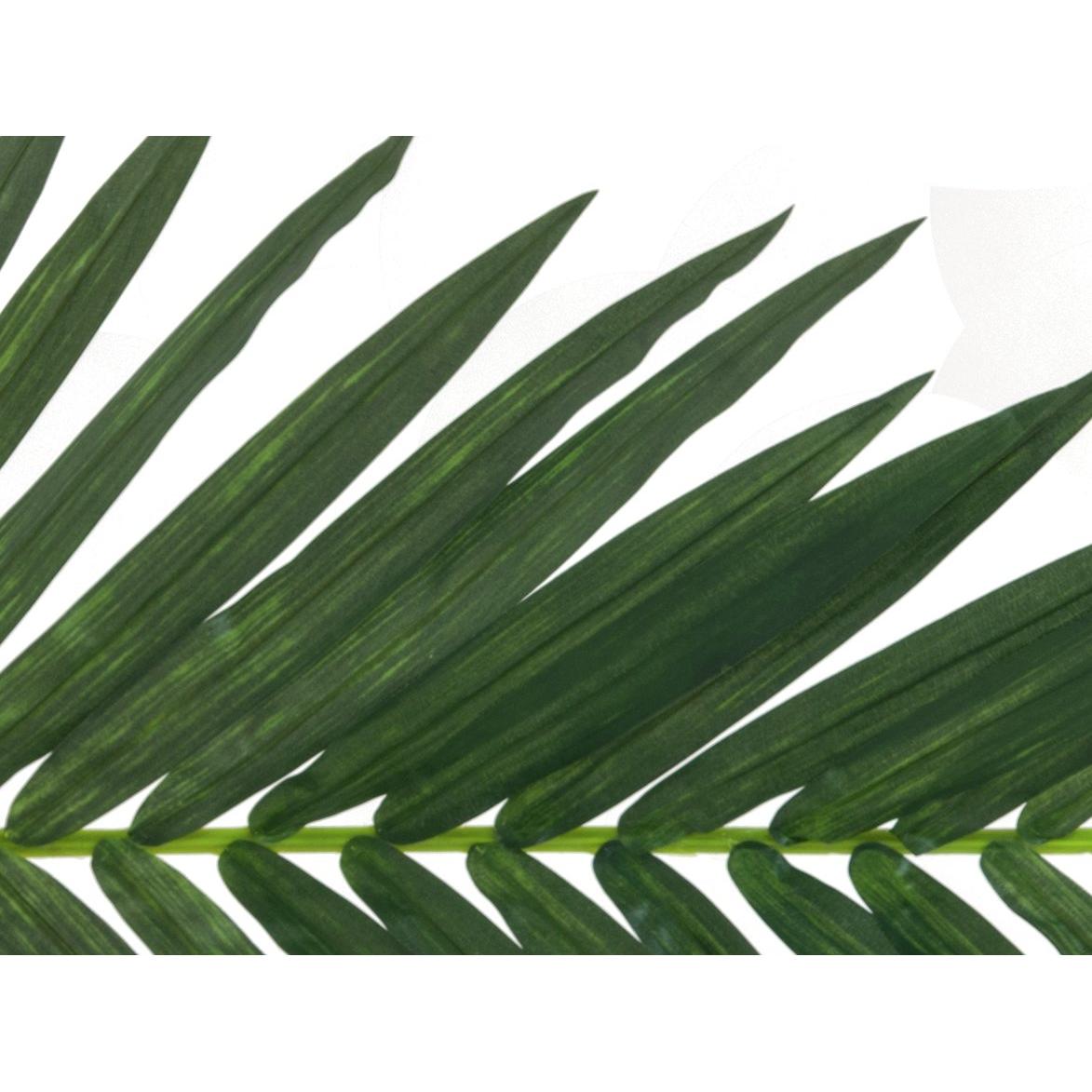 EUROPALMS Coconut King Palm Branch, artificial, 150cm - Image 3