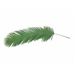 EUROPALMS Coconut King Palm Branch, artificial, 180cm