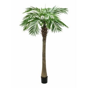 EUROPALMS Phoenix Palm Tree Luxor, artificial plant, 150cm