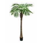 EUROPALMS Phoenix Palmboom Luxor, kunstplant, 210cm
