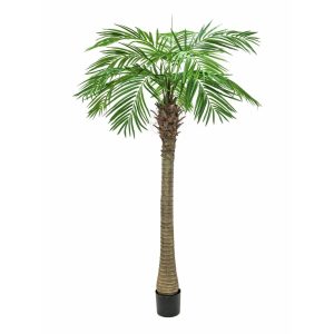EUROPALMS Phoenix Palm Tree Luxor, artificial plant, 240cm