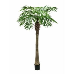 EUROPALMS Phoenix Palm Tree Luxor, artificial plant, 300cm