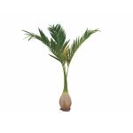 EUROPALMS Phoenix Palm, kunstplant, 240cm