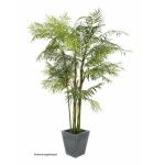 EUROPALMS Cycas Palm, kunstplant, 280cm