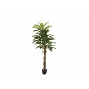EUROPALMS Kentia Palm Tree, artificial plant, 150cm