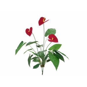 EUROPALMS Anthurium, artificial, 70cm
