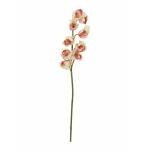 EUROPALMS Cymbidium tak, kunst, cremeroze, 90cm