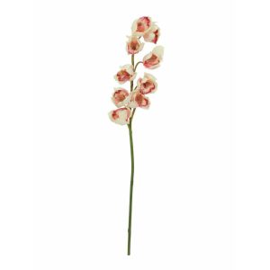 EUROPALMS Cymbidium branch, artificial, creme-pink, 90cm